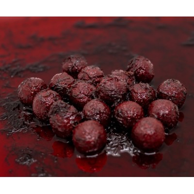 SINGLEPLAYER Boilies SOLUBLE Bloodworm
